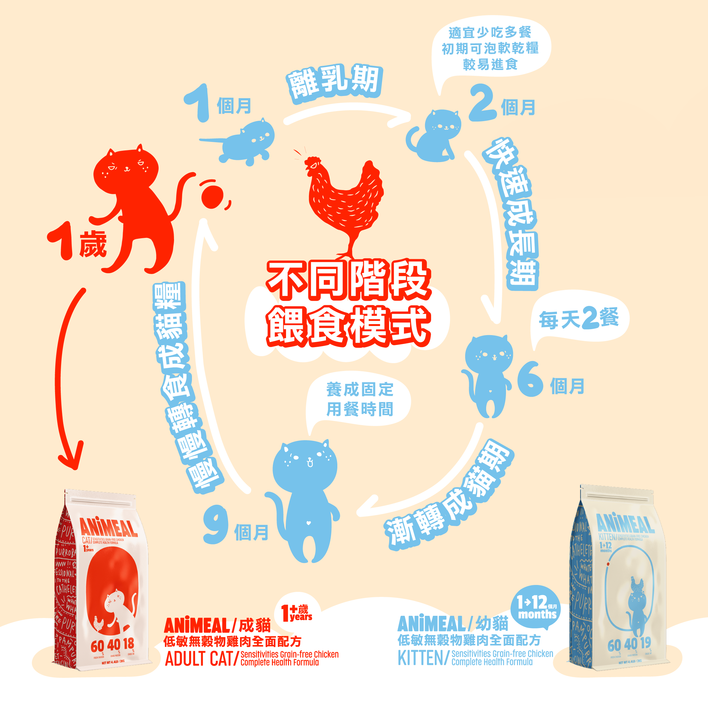 「成貓禮」套裝|幼貓糧轉成貓糧 低敏無穀物雞肉全面配方