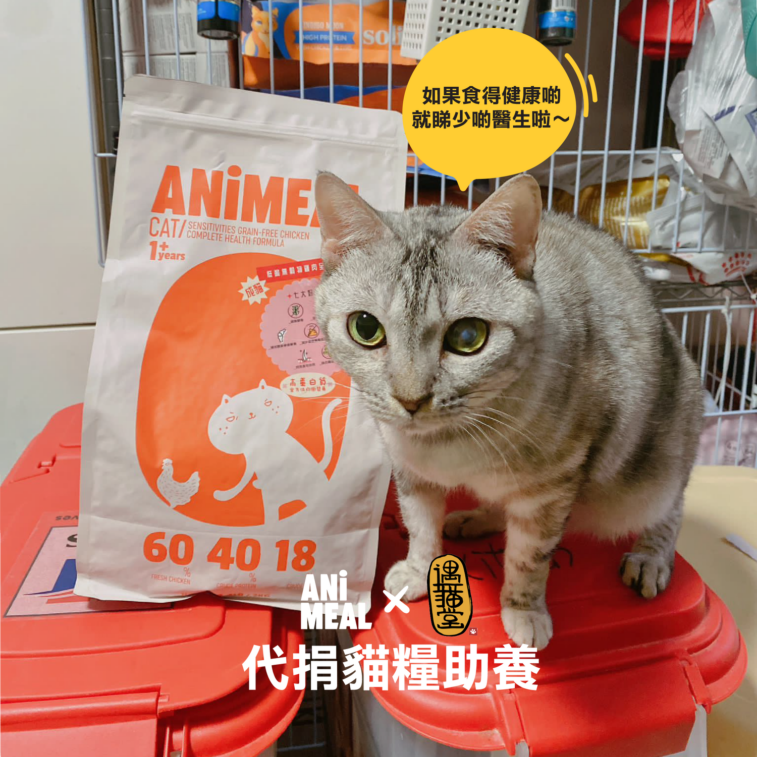 【Yu Meow Tong】Proxy Donate cat food