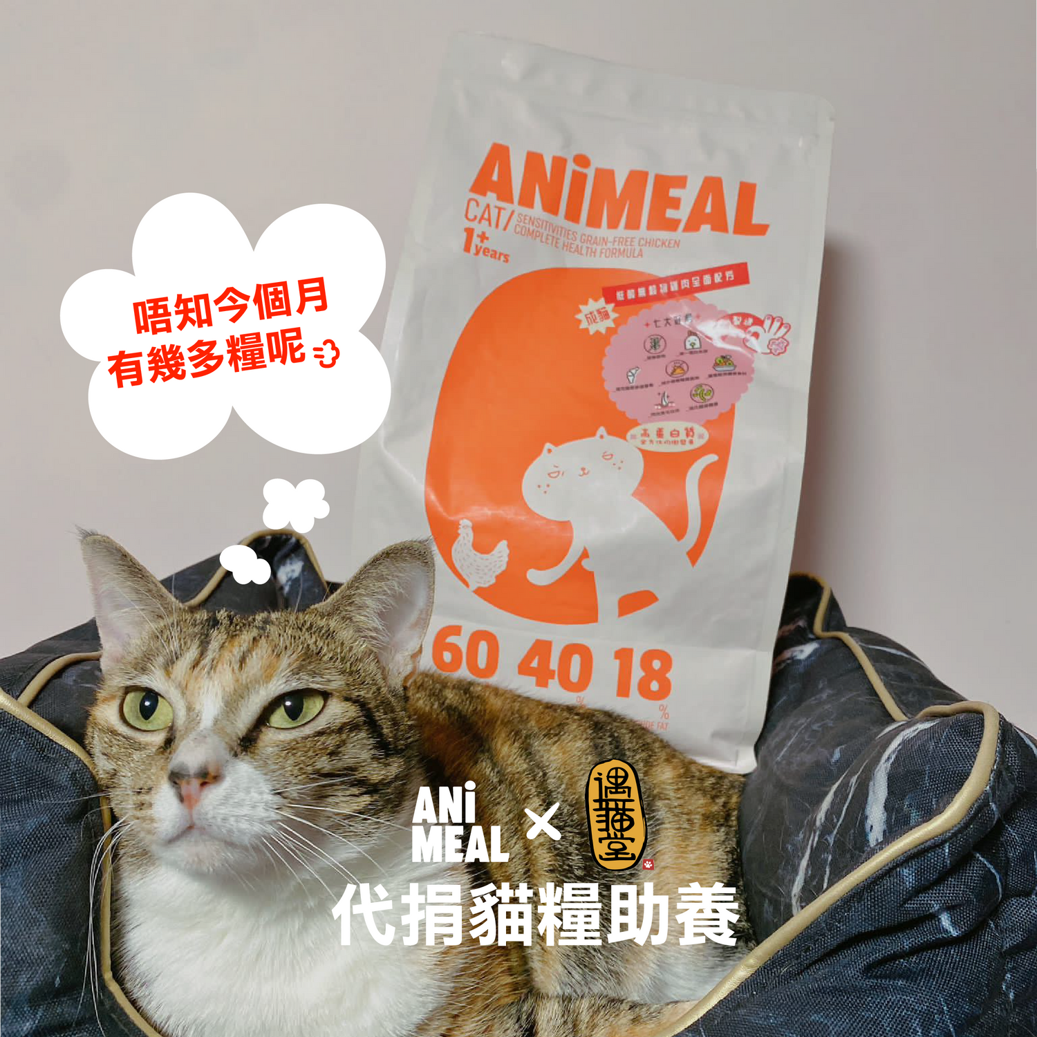 【Yu Meow Tong】Proxy Donate cat food