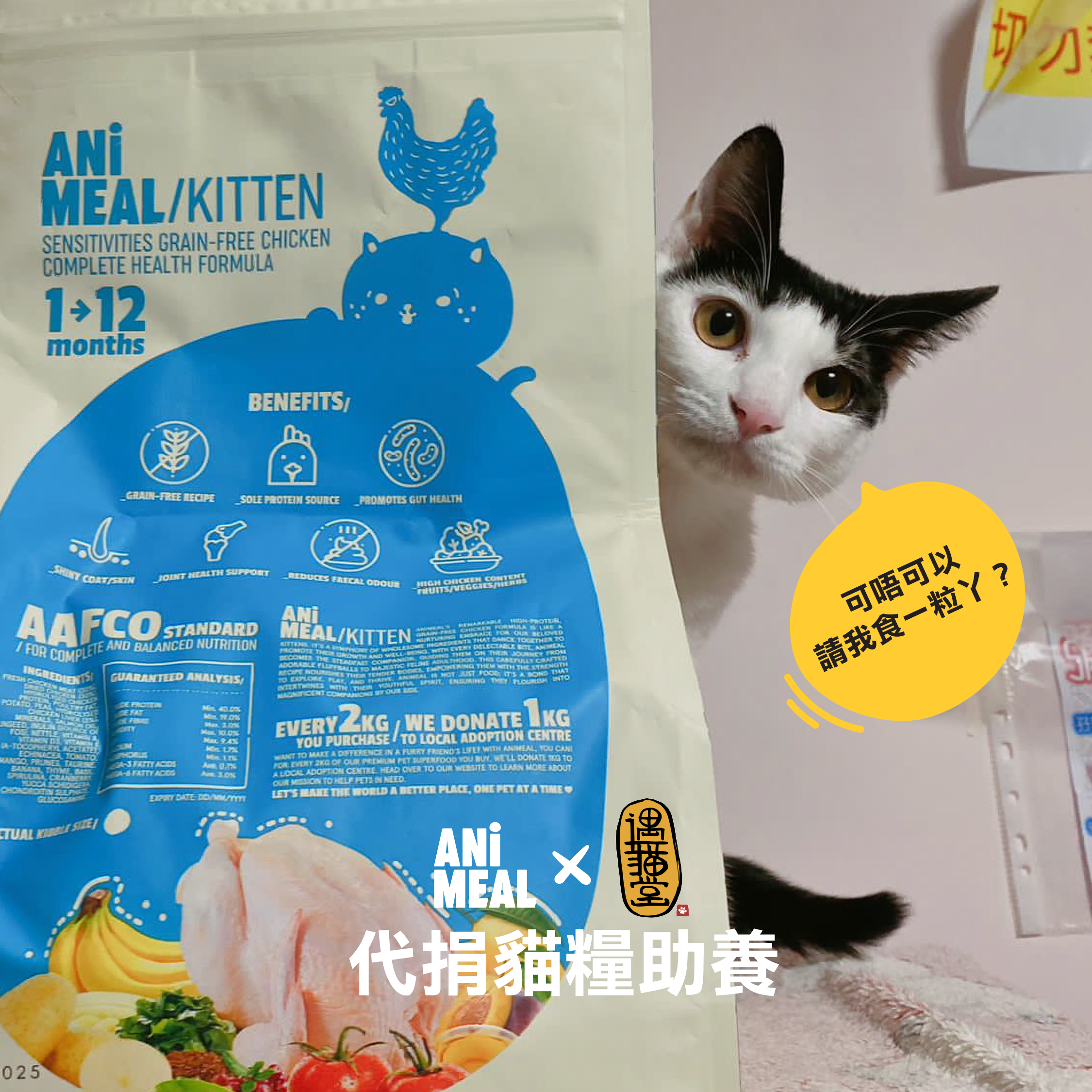 【遇貓堂】代捐貓糧