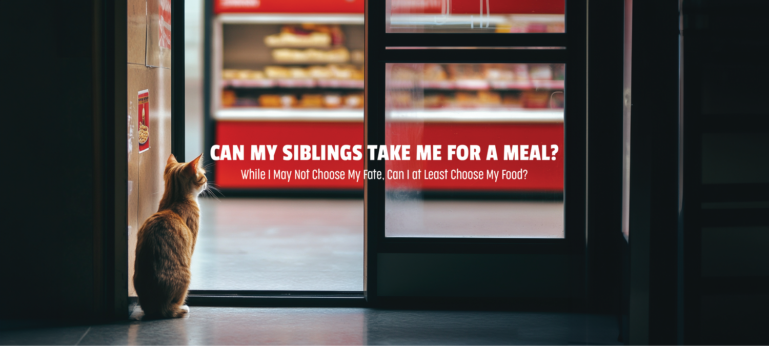 Can My Siblings Take Me for a Meal?