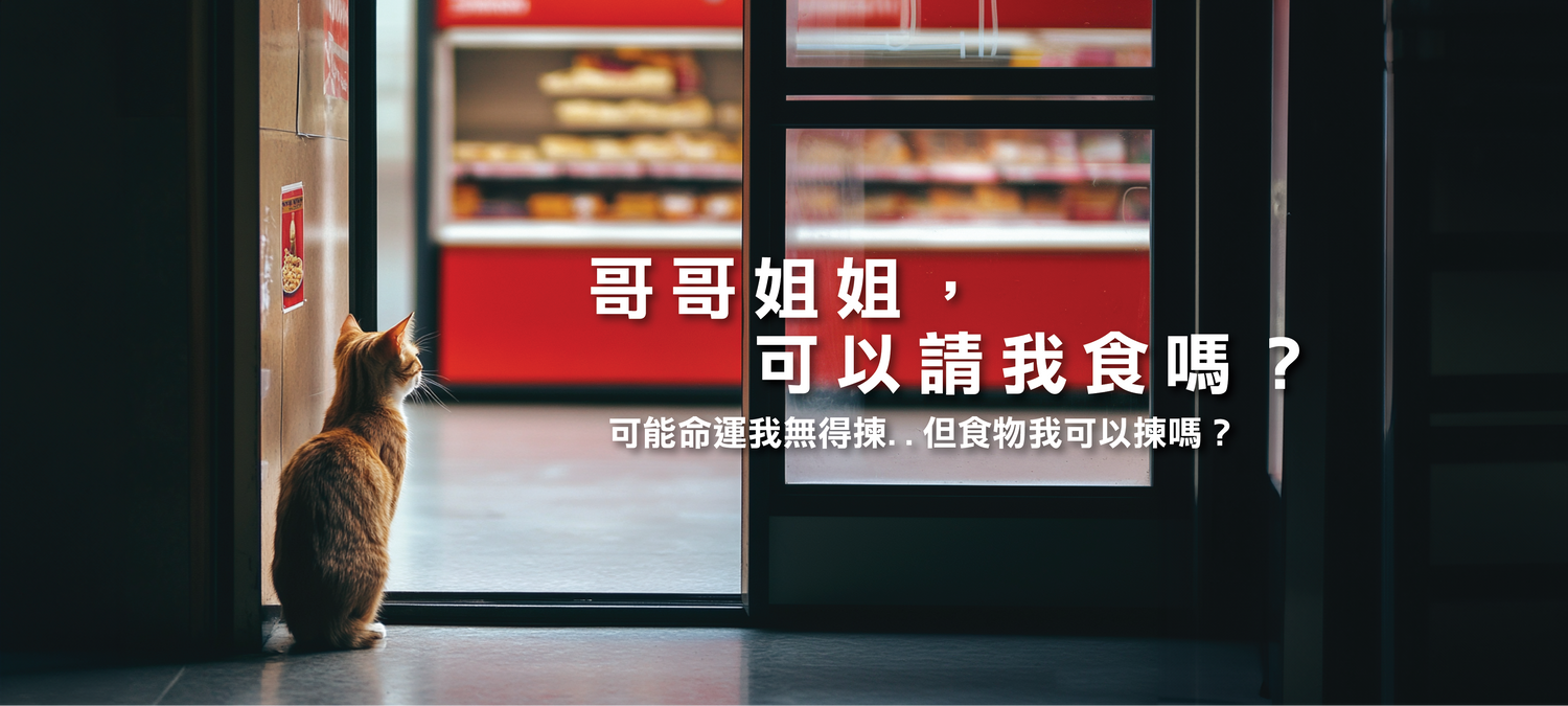 浪浪想吃貓罐頭
