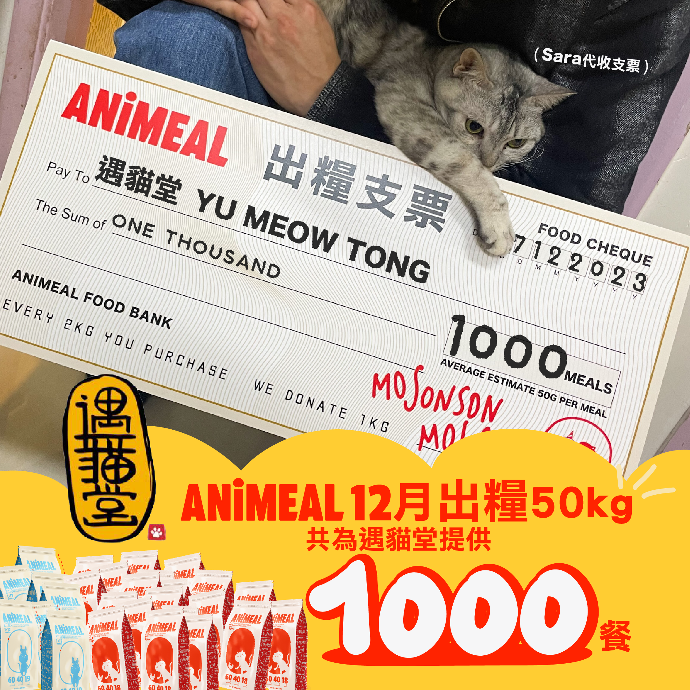 【遇貓堂】代捐貓糧