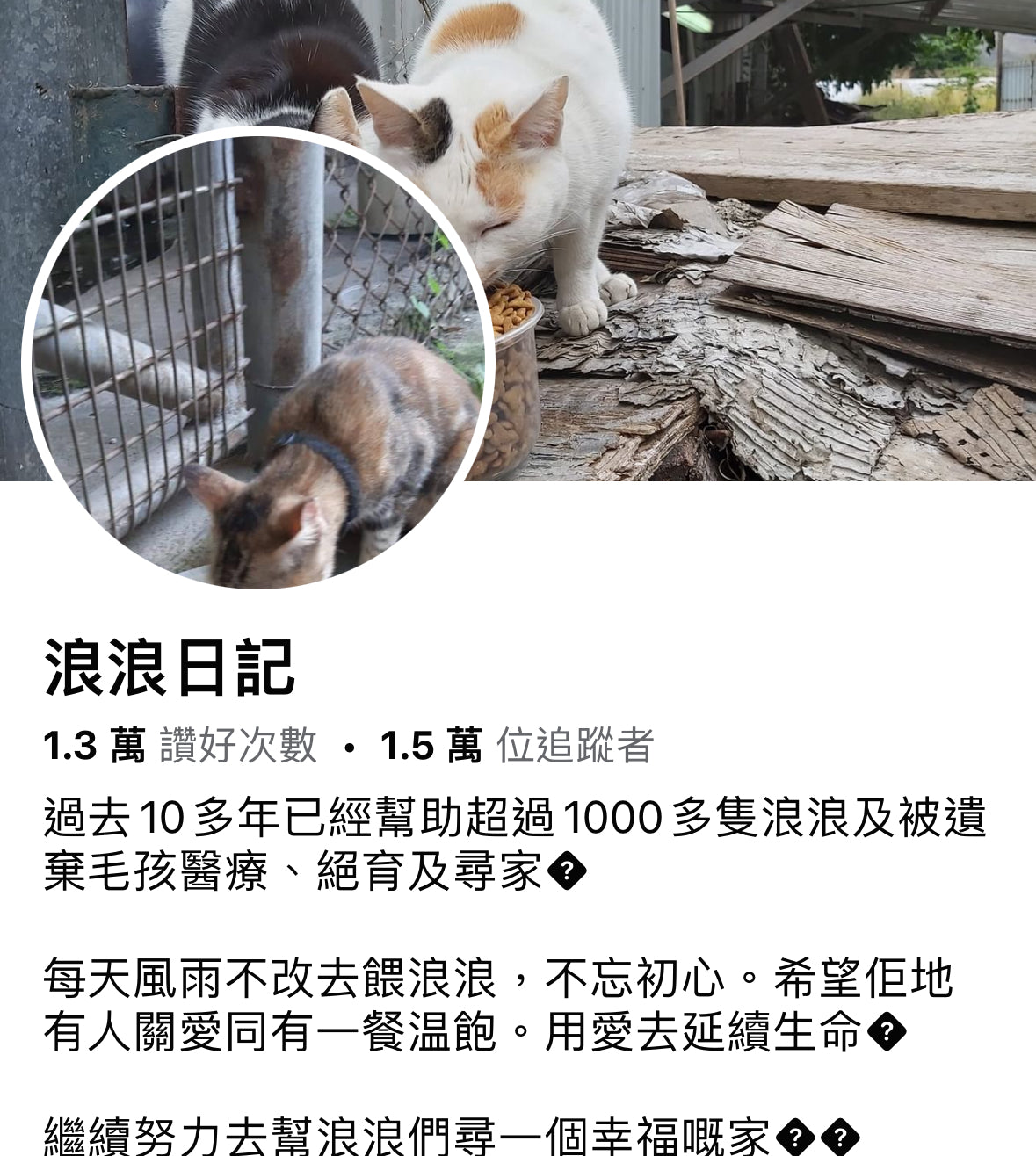 【浪浪日記】代捐貓糧