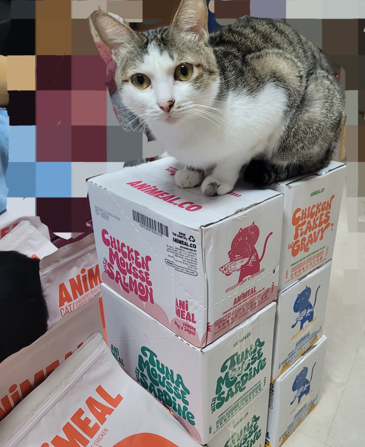 Proxy Donate of food