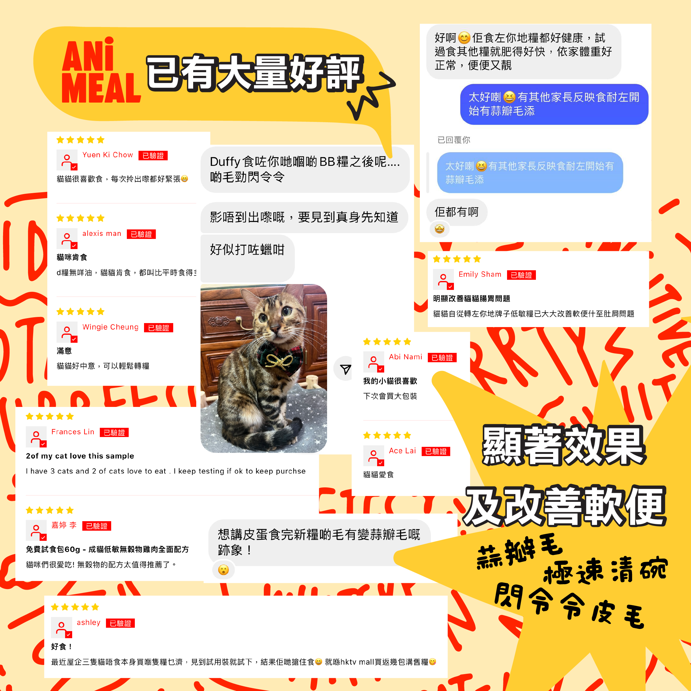 「成貓禮」套裝|幼貓糧轉成貓糧 低敏無穀物雞肉全面配方