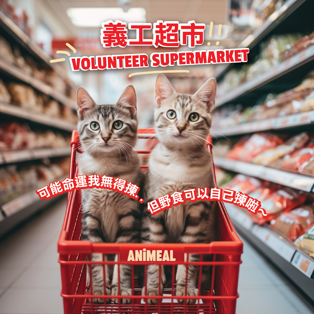 義工價購買糧食