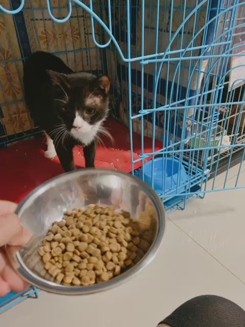 【Yu Meow Tong】Proxy Donate cat food