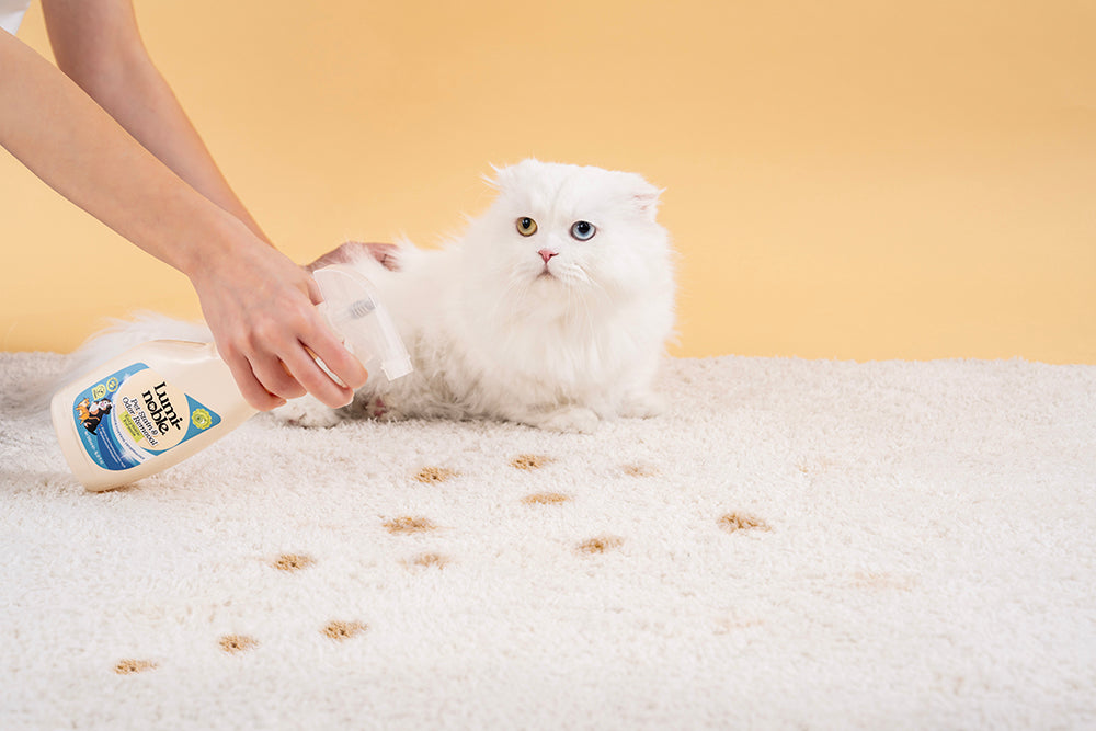 Lumi-Noble. Odor & Stain Removal 500ml