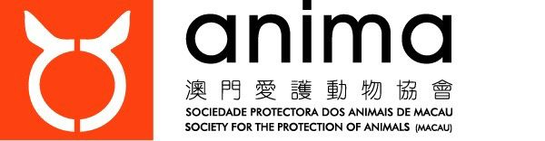 【Anima Macau】Proxy Donate cat food