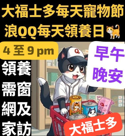 【浪QQ】代捐貓糧
