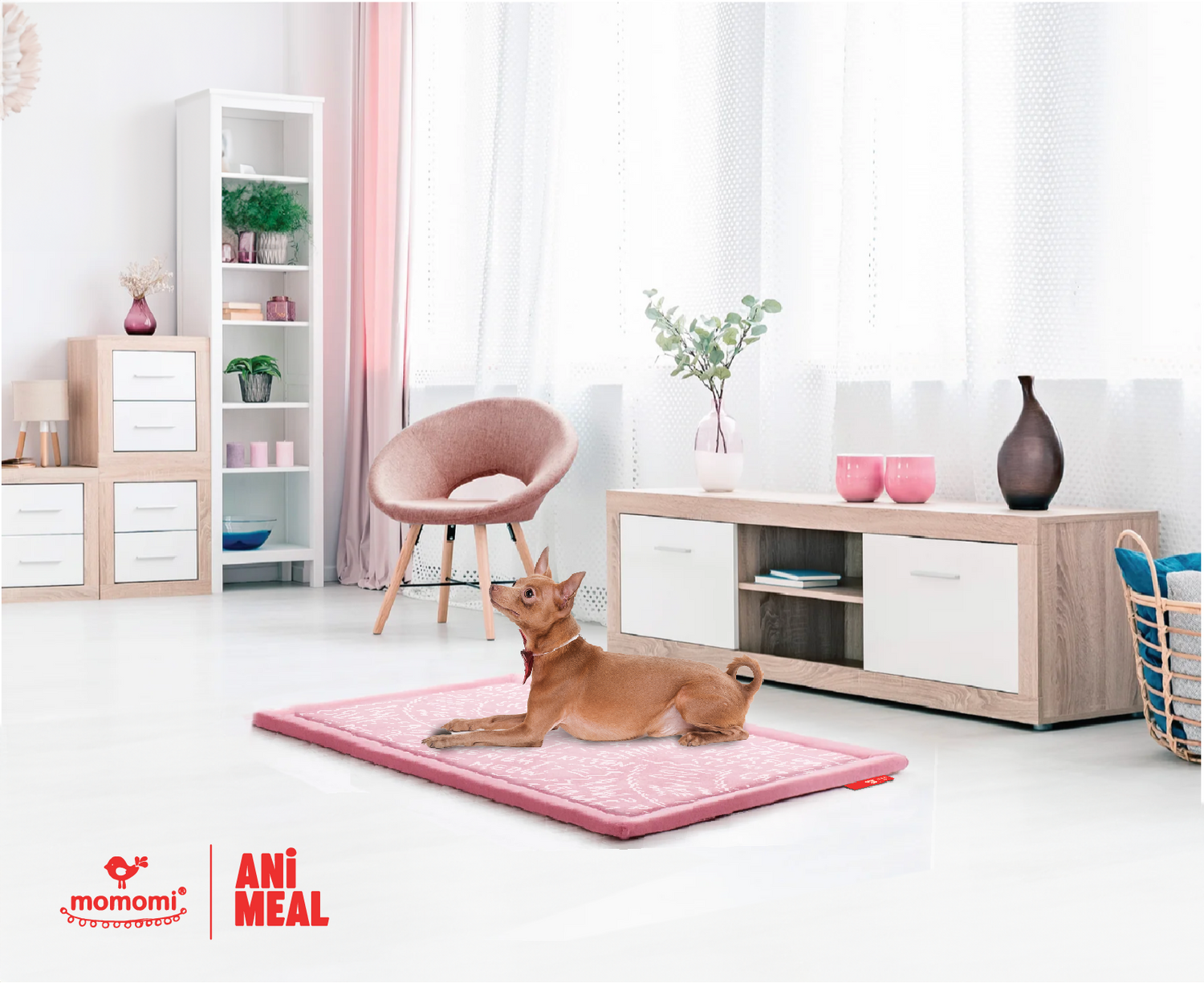 Momomi® x ANiMEAL Pet Mat