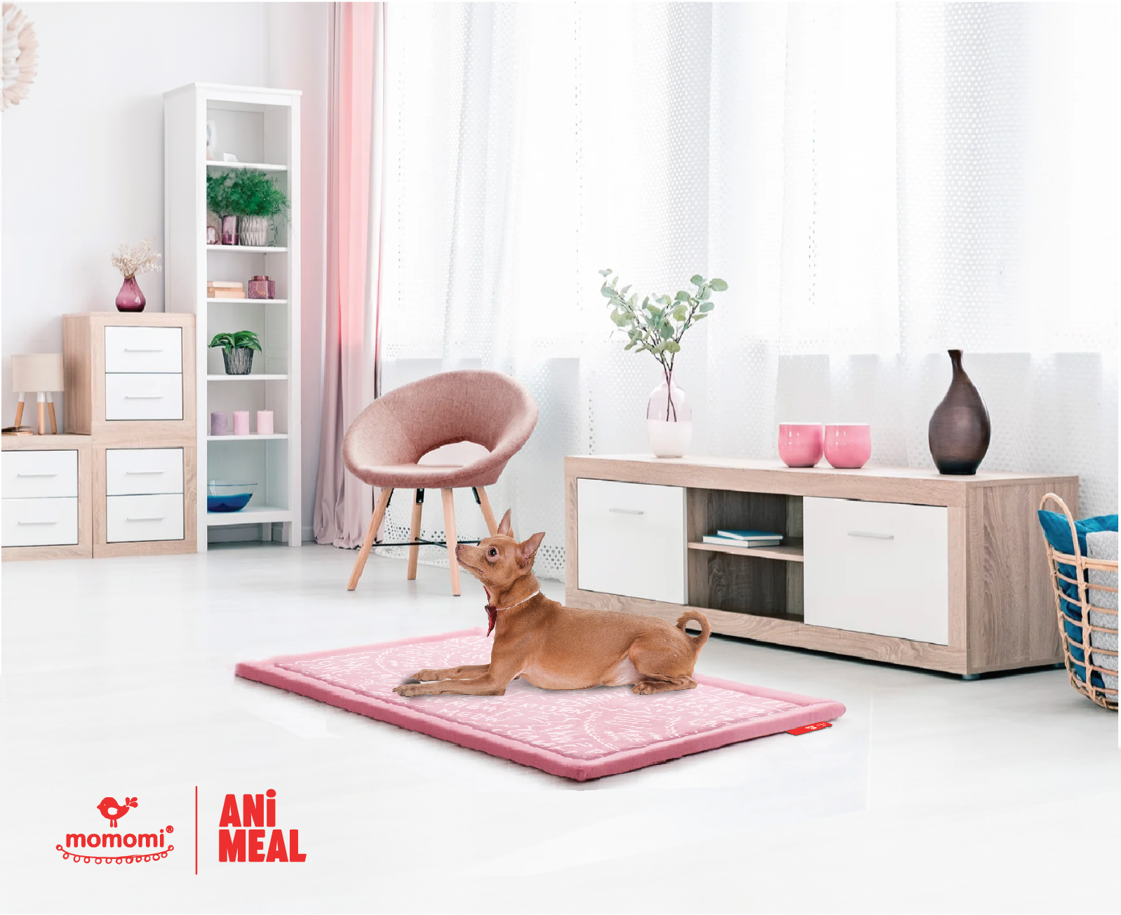 Momomi® x ANiMEAL Pet Mat