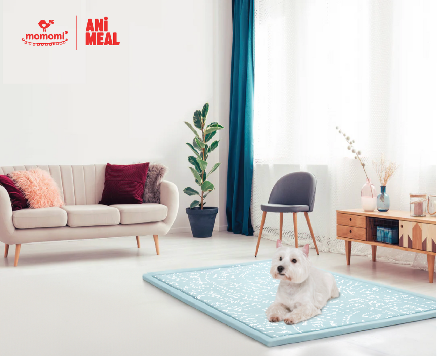 Momomi® x ANiMEAL Pet Mat