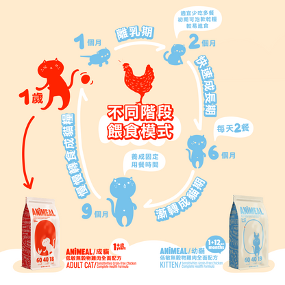 免費試食包60g - 幼貓低敏無穀物雞肉全面配方