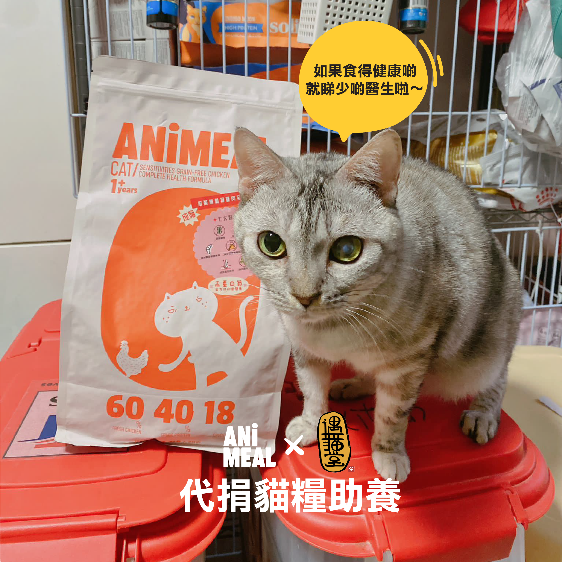 【Yu Meow Tong】Proxy Donate 3kg of cat food