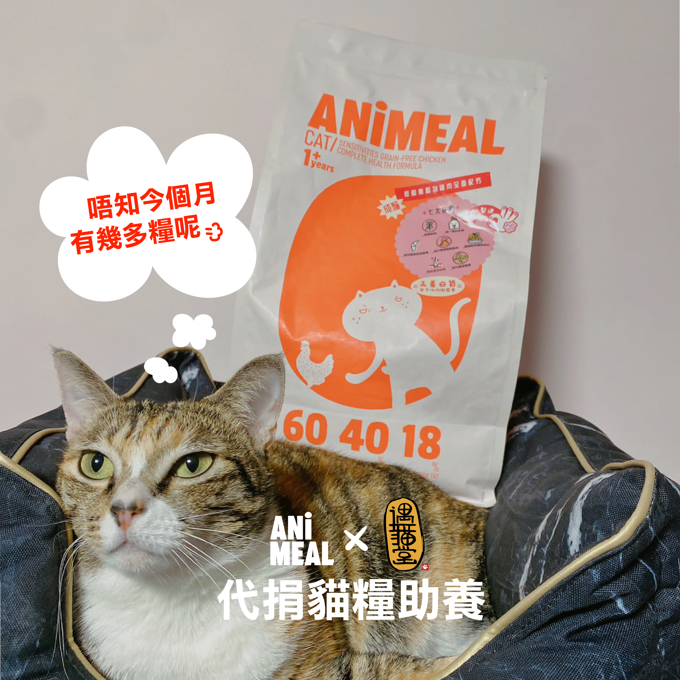 【Yu Meow Tong】Proxy Donate 3kg of cat food