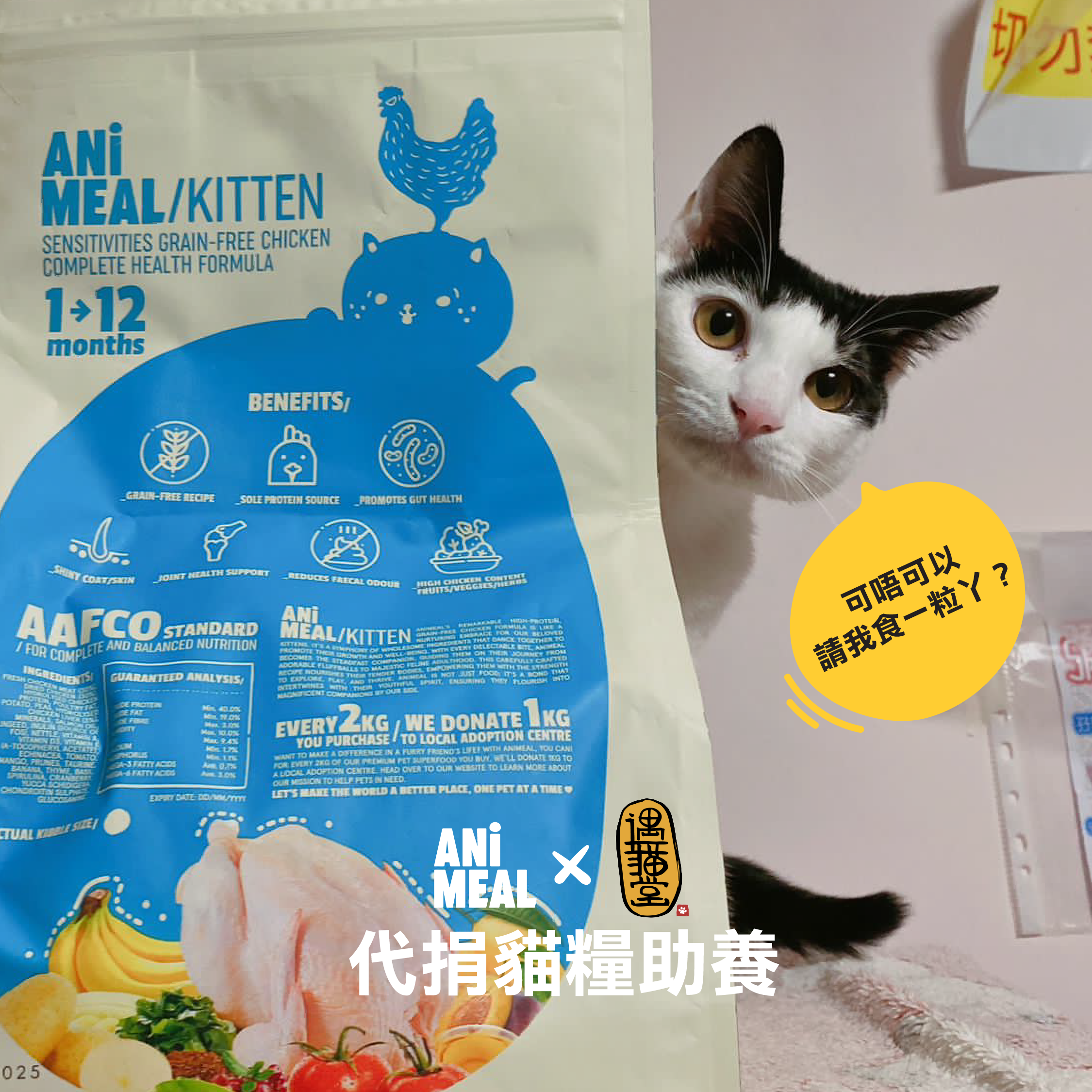 【Yu Meow Tong】Proxy Donate 3kg of cat food