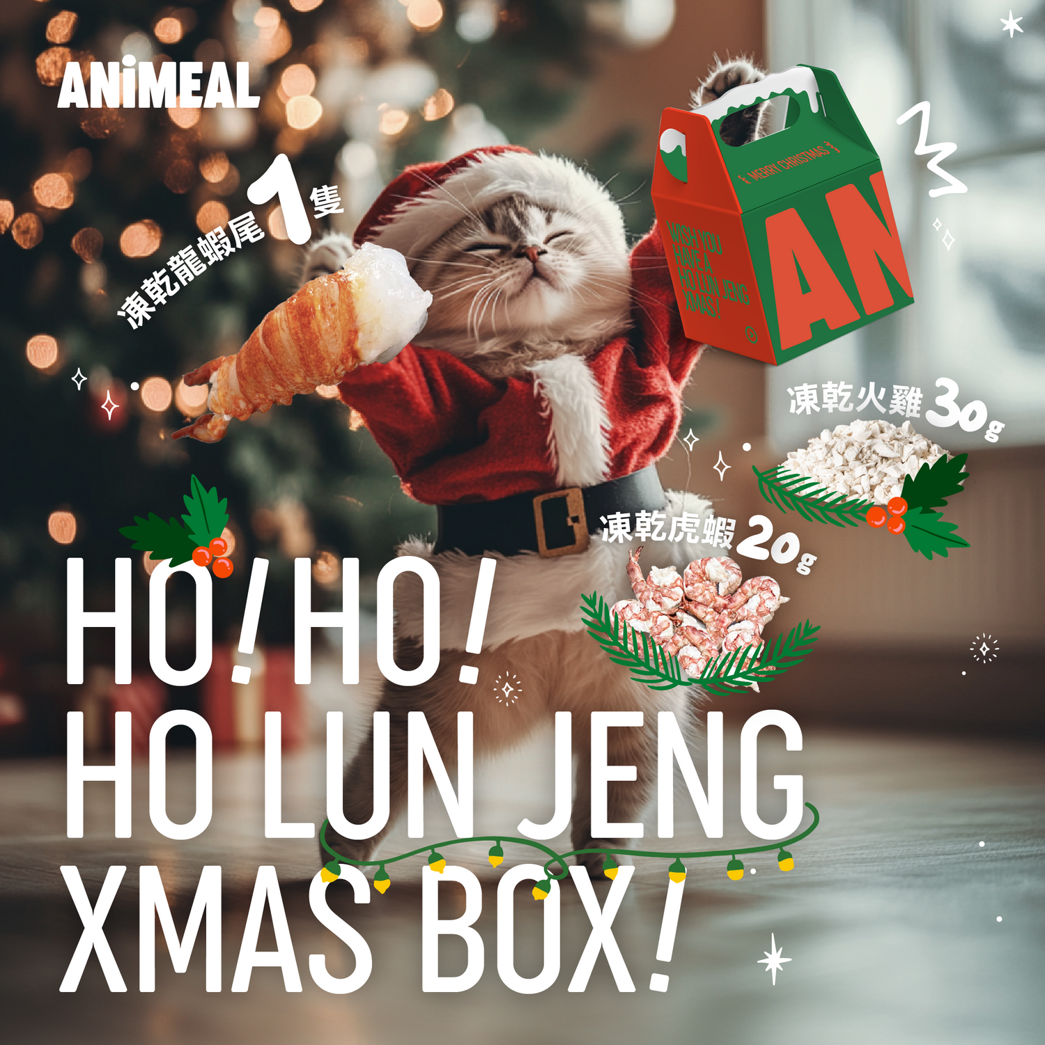 HO!HO!HO LUN JENG XMAS BOX!