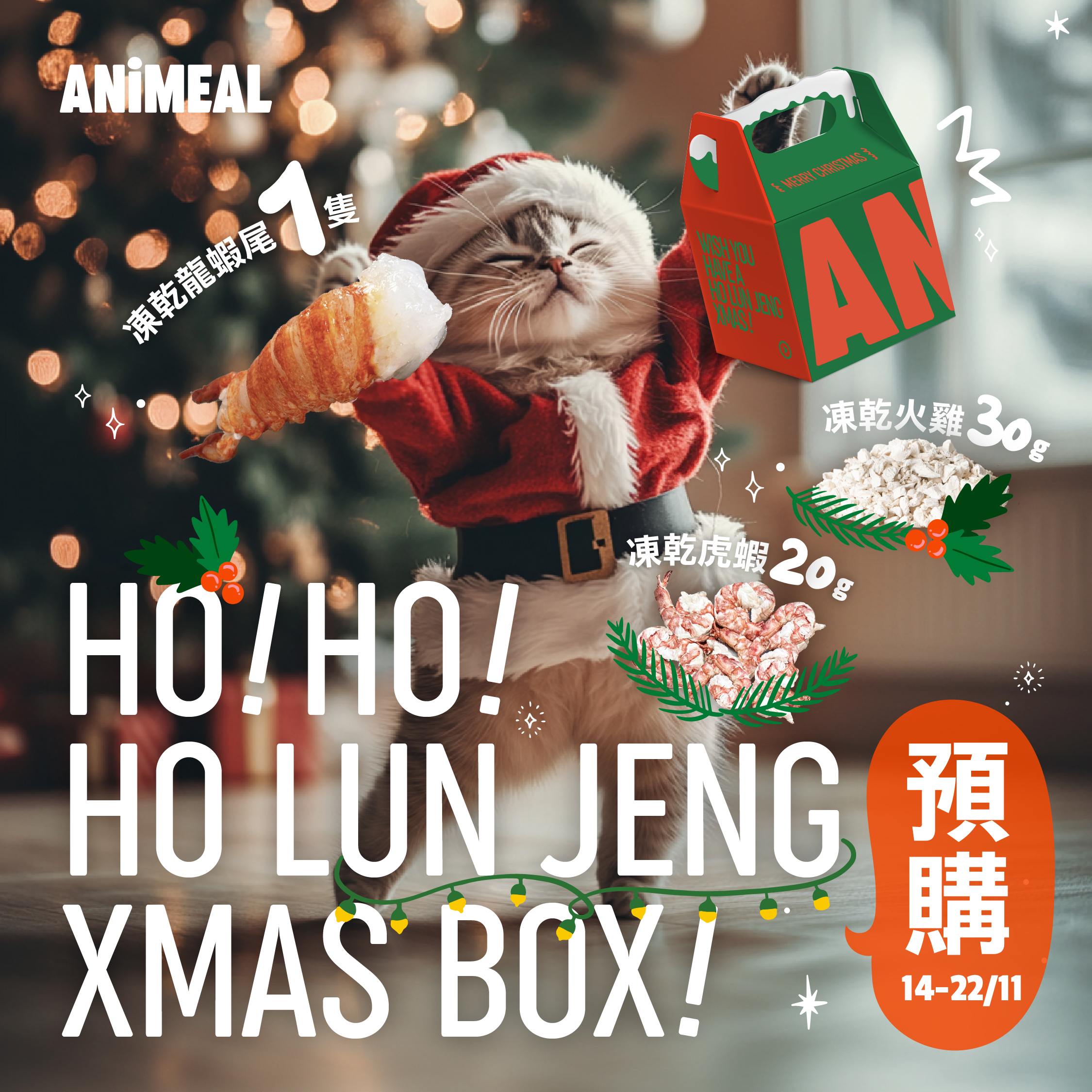 【預購】HO!HO!HO LUN JENG XMAS BOX!