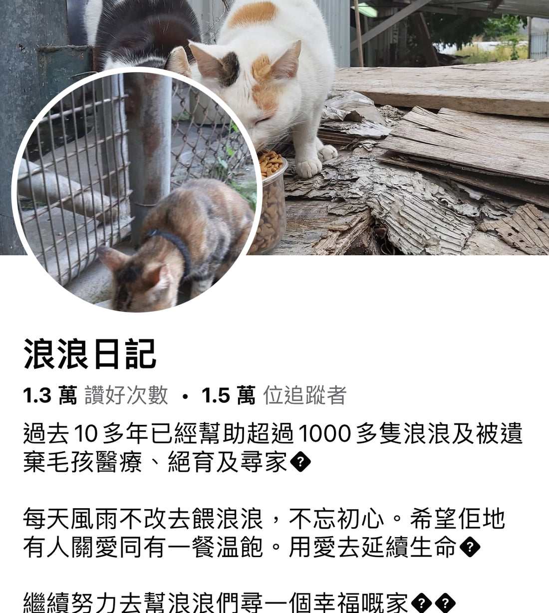 【Stray Animal Dairy】Proxy Donate cat food