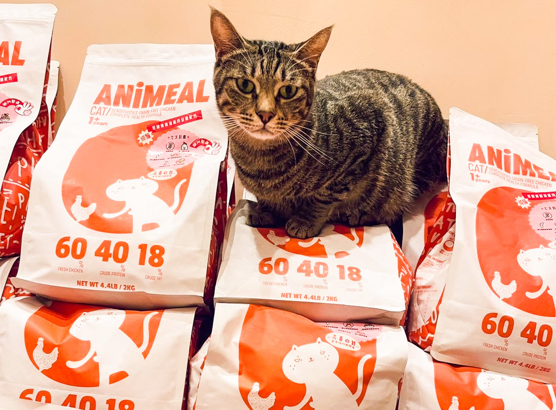 【Cats not ball】Proxy Donate cat food