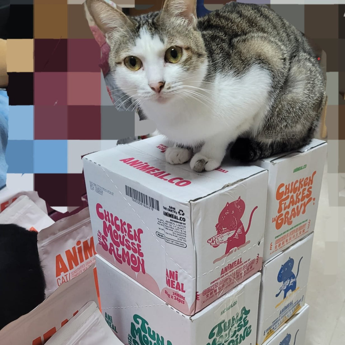 【Meow B Dairy】Proxy Donate cat food