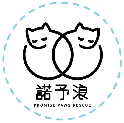 【Promise Paws Rescue】Proxy Donate 3kg of cat food ｜Dry Food Needed