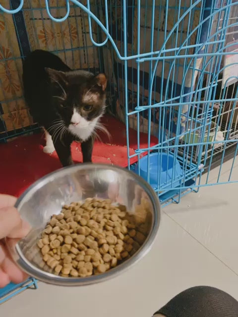 【Yu Meow Tong】Proxy Donate 3kg of cat food